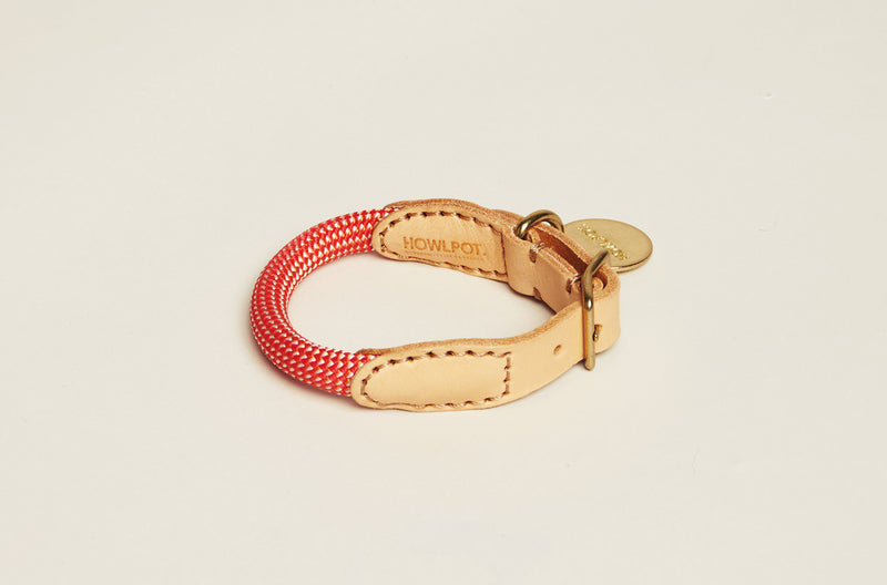 HowlPot We are Tight Rope Dog Collar Coral Aid