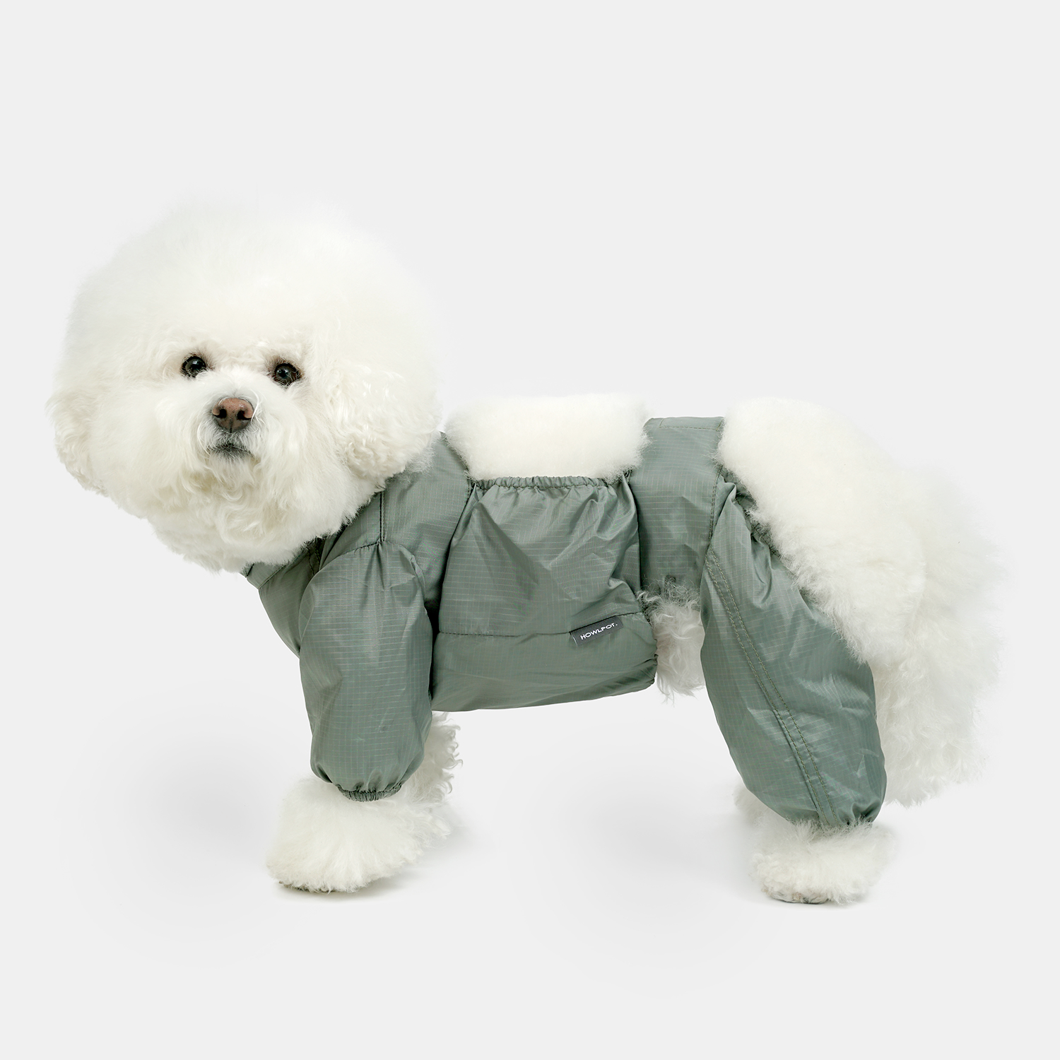 We are Tight: Walking Suit for Dogs, Khaki