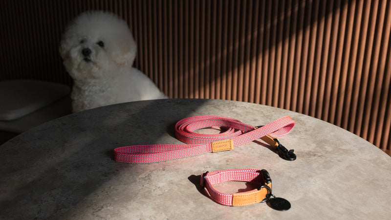 We are Tight: Ribbon Dog Leash, Flamingo