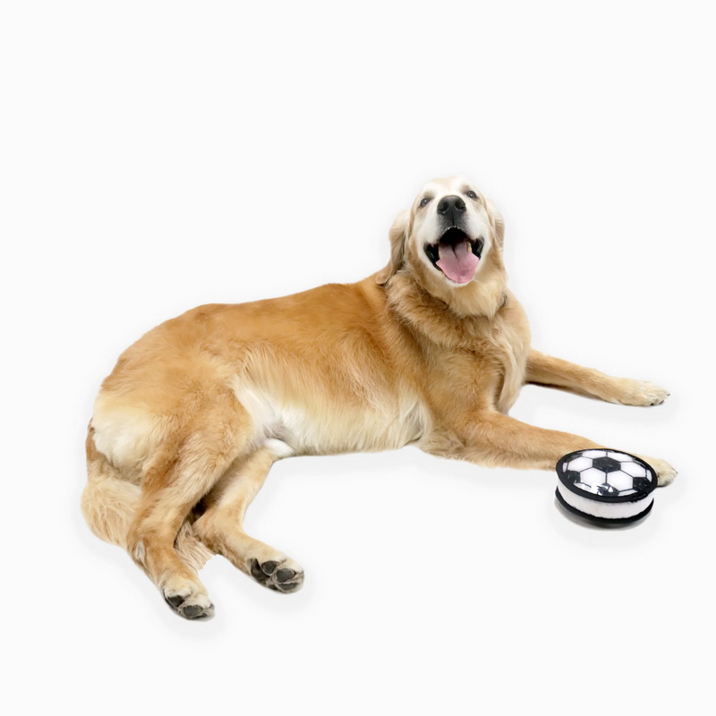 Sport Paws Squeaky Dog Toy, Soccer