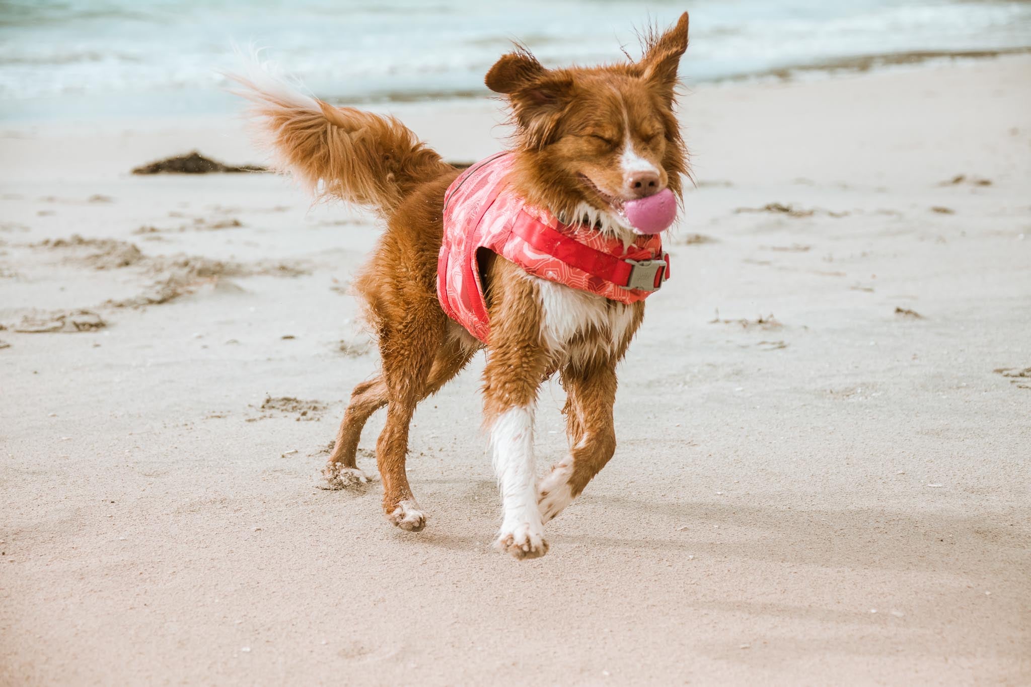 Hurtta Dog Swim Coat: Life Saviour Eco