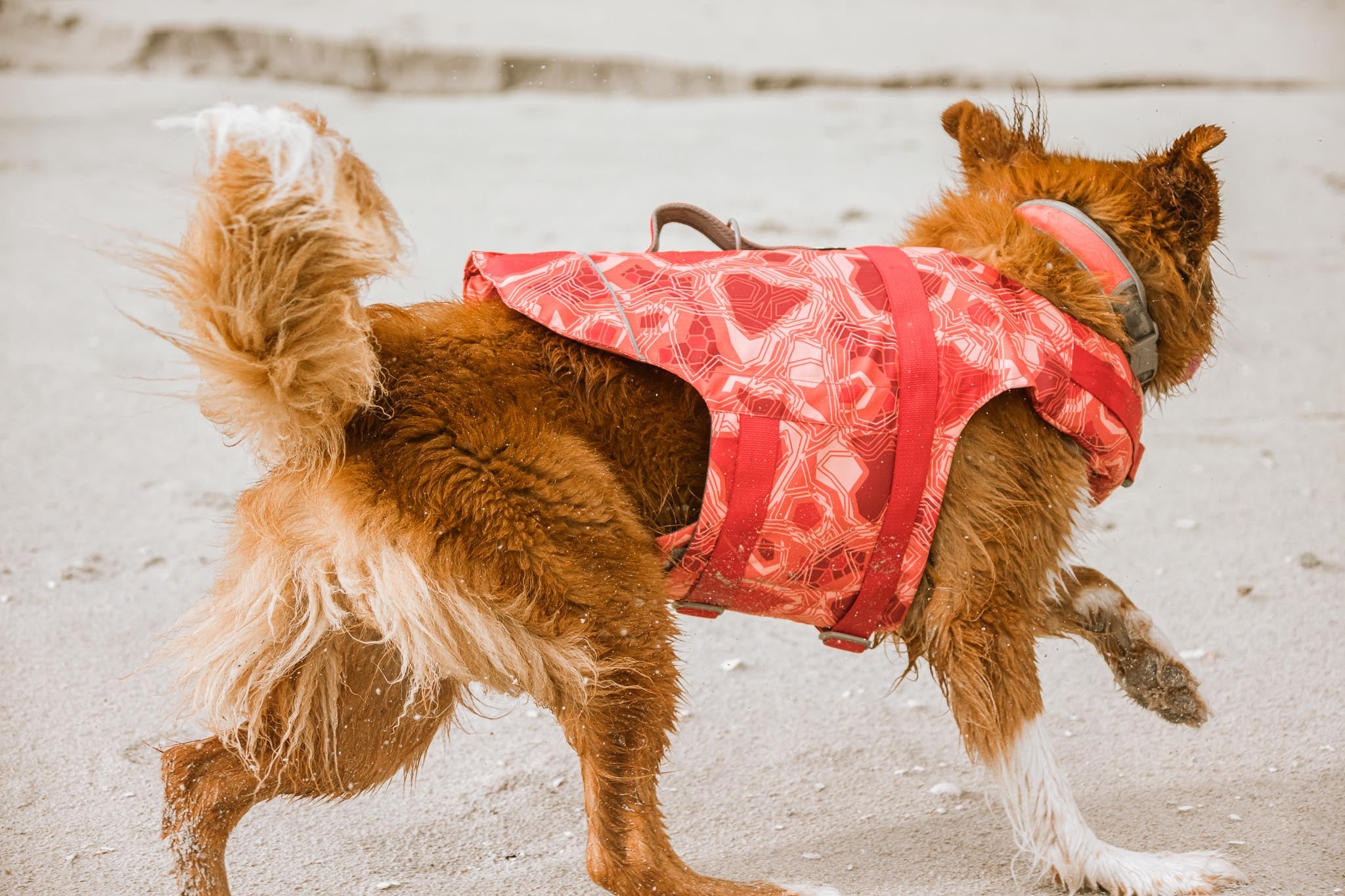 Hurtta Dog Swim Coat: Life Saviour Eco