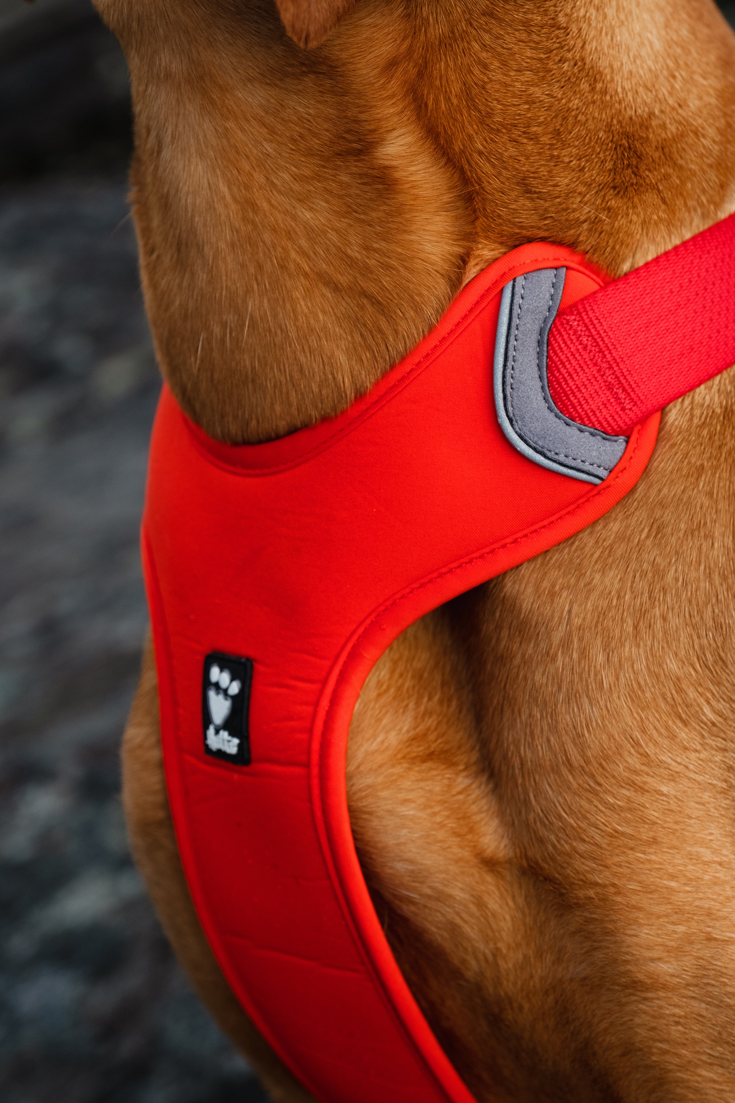 Hurtta Dog Harness: Weekend Warrior Eco, Rosehip