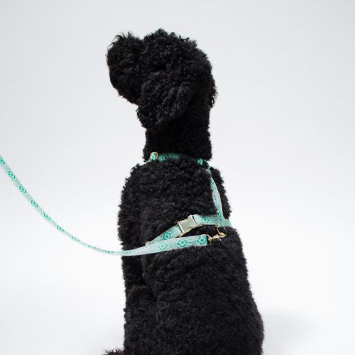 Out of My Box Harness: Teal and Cream