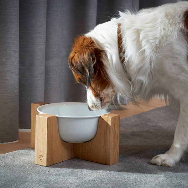 KPM x Cloud7 Dog Food and Water Porcelain Bowl with Oak Stand, Short Oak
