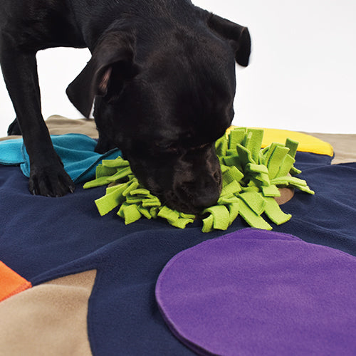 Dog Sniff and Search Interactive Nosework Puzzle Game, Flower Pad