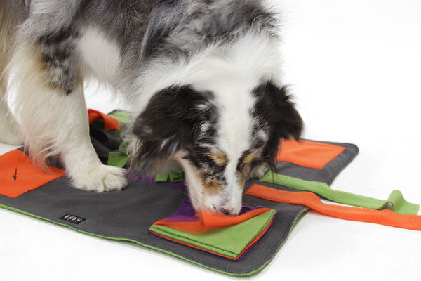 Knauders Best Happy Pad Sniff Pad for Dogs