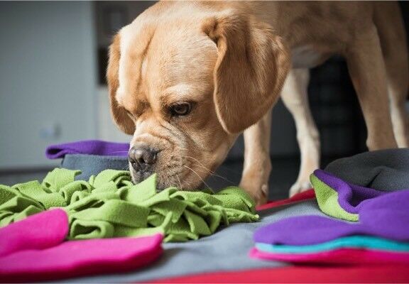 Dog Sniff and Search Interactive Nosework Puzzle Game, Heart Pad