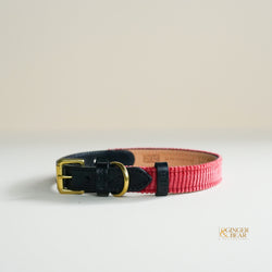 Pink fendi dog collar Clearance