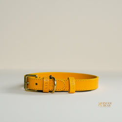 LISH Coopers Lemon Yellow Italian Leather Dog Collar