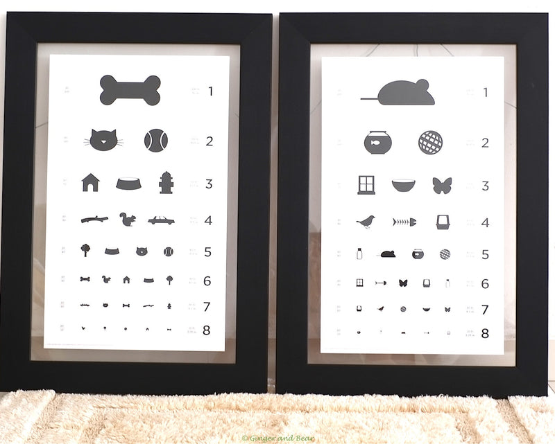 Eye chart for Dogs