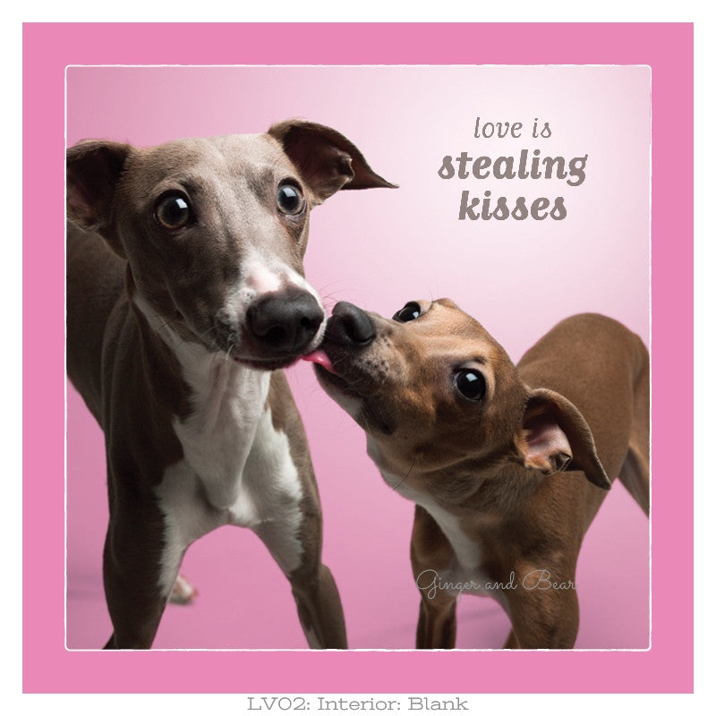 Love: Stealing Kisses Iggy Love