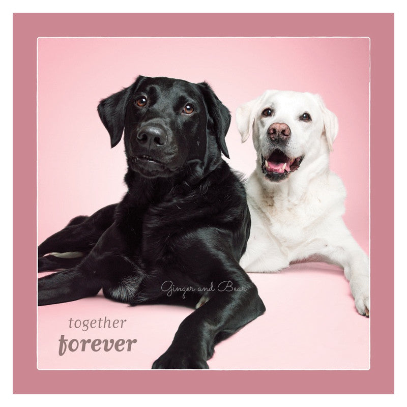 Love: Labrador Retriever Together Forever