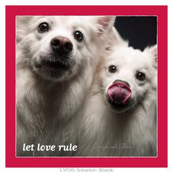 Love: Let Love Rule