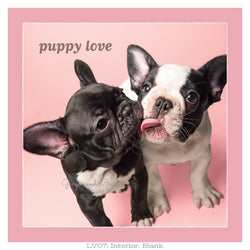 Love: Frenchie Puppy Love