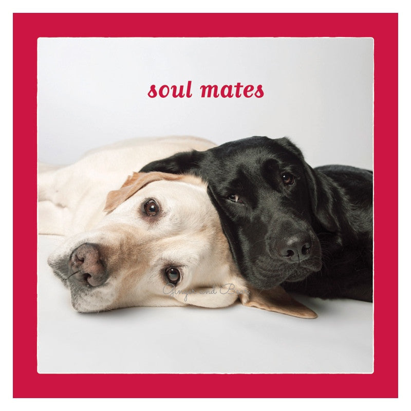 Love: Labrador Retriever Soul Mates