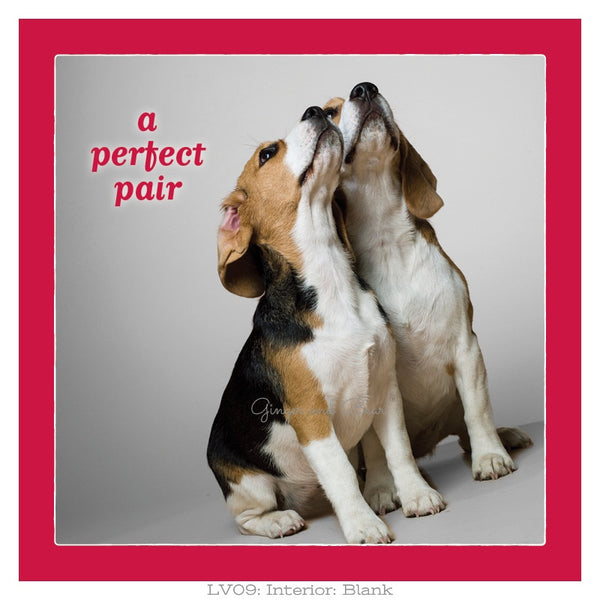 Love: A Perfect Pair Beagle Love
