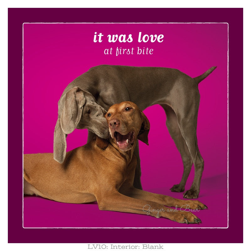Love: It Was Love at First Bite