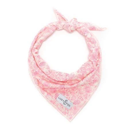 Lucy & co dog best sale bandana