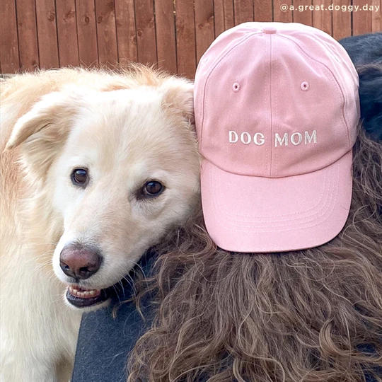 Lucy&Co Hat for Human: Dog Mom Hat in Blush