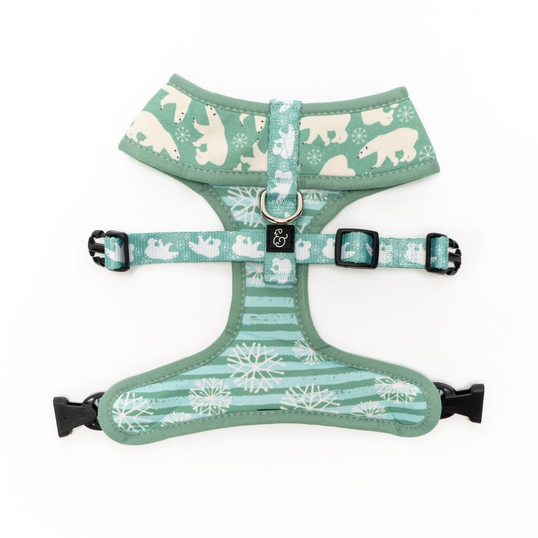 Lucy&Co Reversible Dog Harness: The Polar Bear Parade