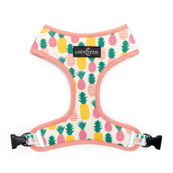 Lucy&Co Reversible Dog Harness: Poolside Chillin'