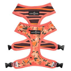 Lucy&Co Reversible Dog Harness: Posy Pink