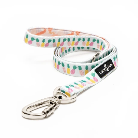 Lucy&Co Dog Leash: Poolside Chillin'