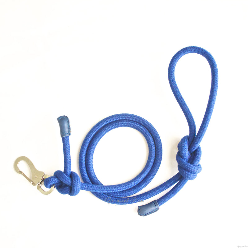 Dog Lead: Blue Rope