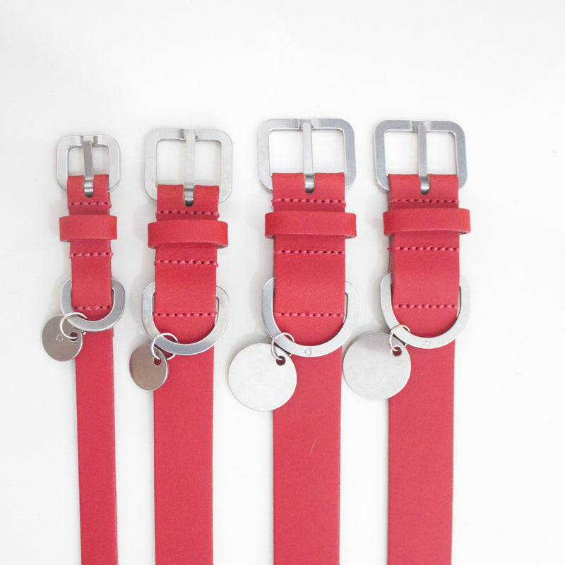 Dog Collar: Red Leather