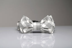 MaxBone Chloe Cat Bow Tie