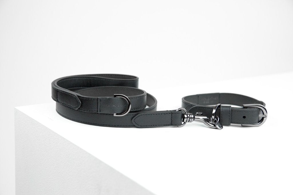 Max bone collar new arrivals