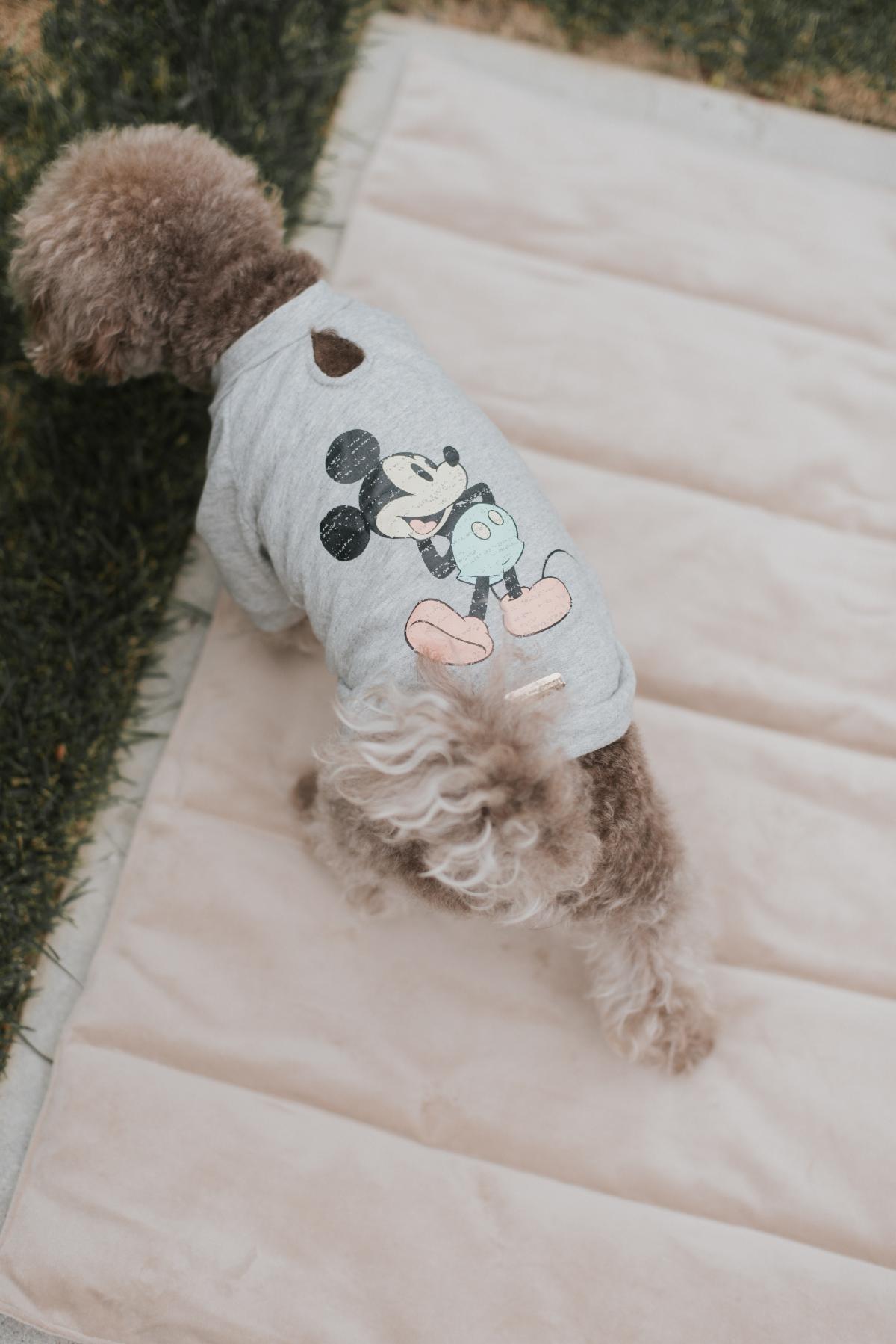 MaxBone Mickey Mouse Classic T-shirt for Dogs and Cats