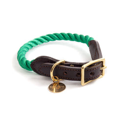 Miami Green Synthetic Rope Cat  And Dog Collar_Miami Green