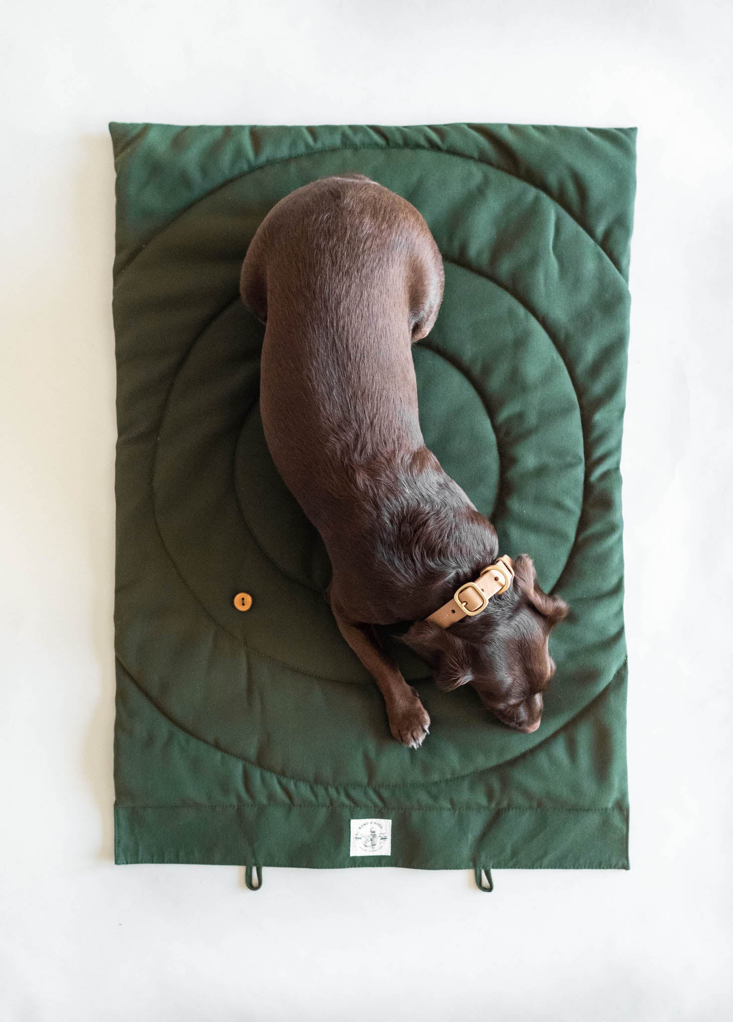 Compass Travel Dog Blanket Mat