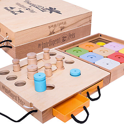 Interactive Puzzle Game for Dogs and Cats, Travel Sudoku Rainbow
