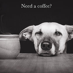 Postcard: Need a coffee?