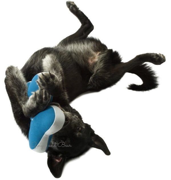 Dog Toy: OldSoul