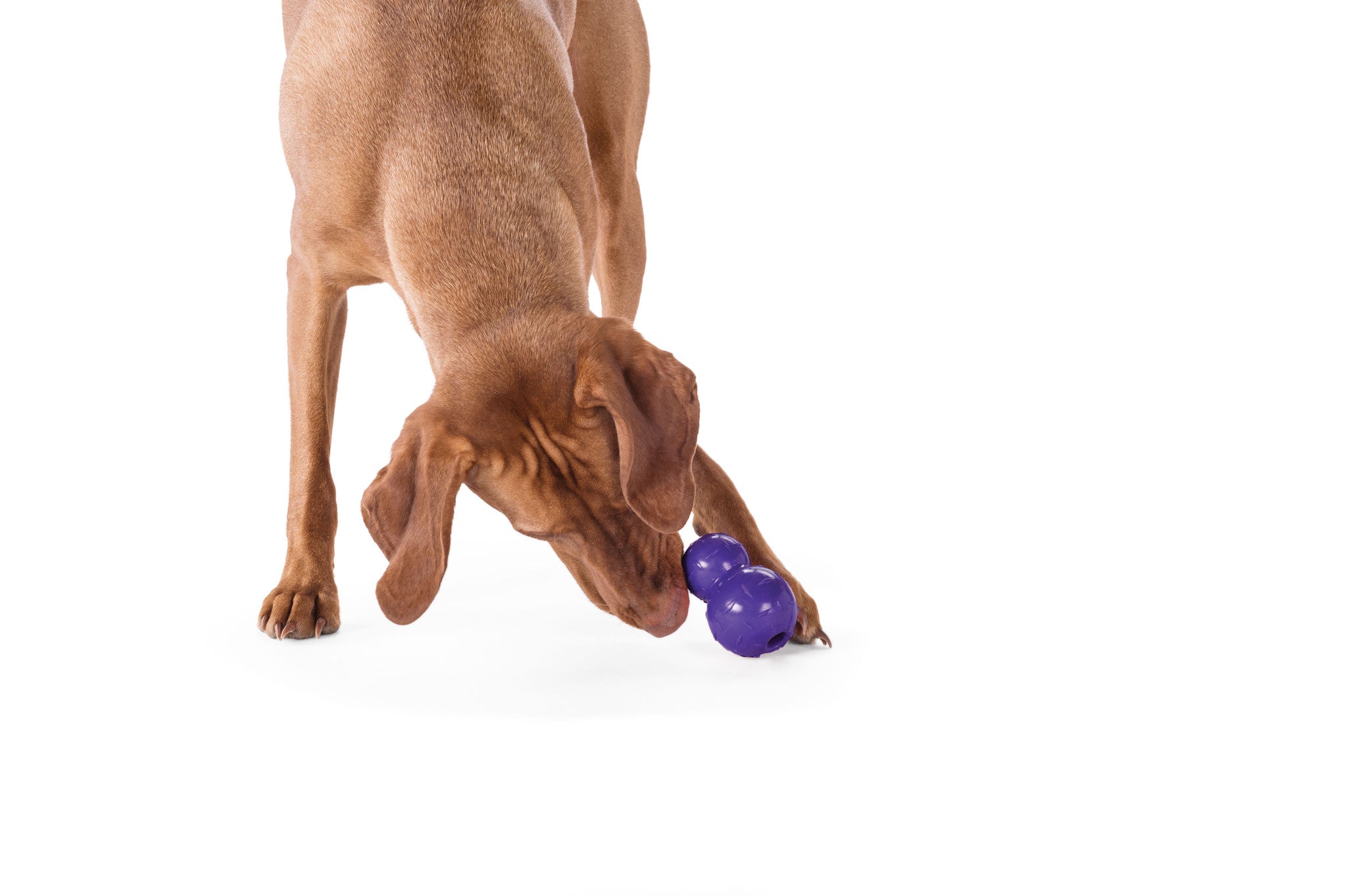 Dog Toy: Diamond Plate