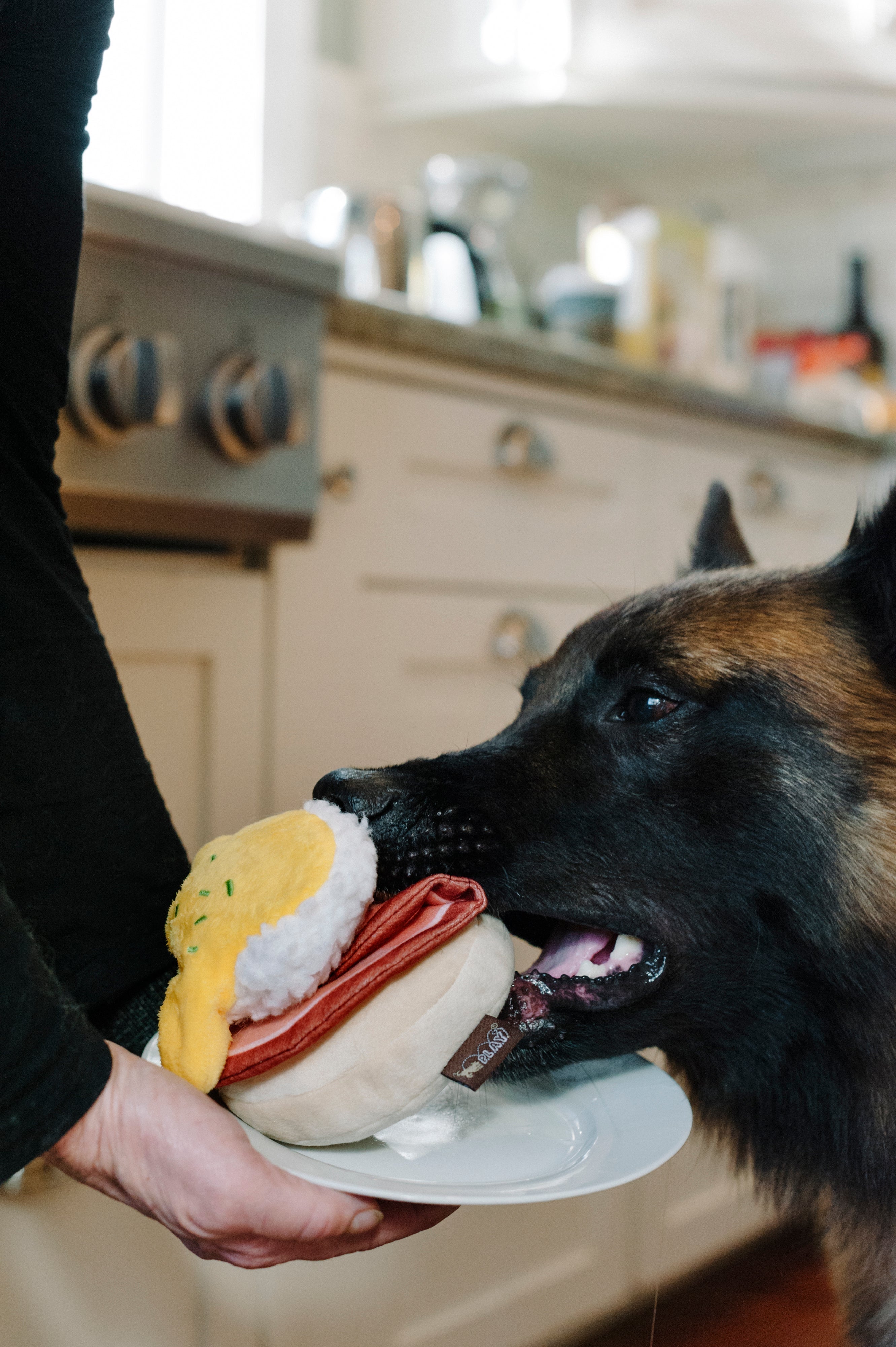 P.L.A.Y. Barking Brunch Plush Dog toys, Benny's Benedict