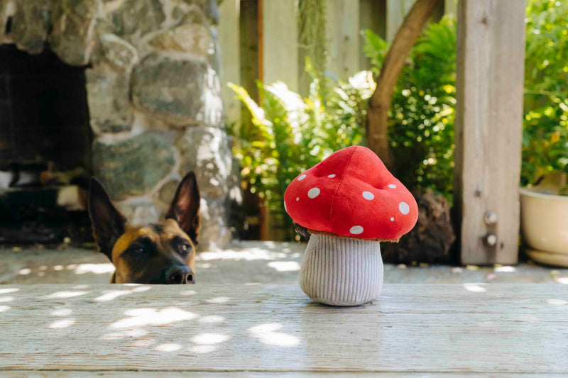 P.L.A.Y. Blooming Buddies Squeaky Plush Dog toys, Mutt's Mushroom