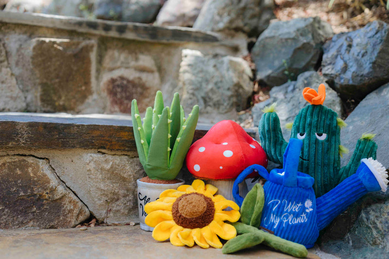 P.L.A.Y. Blooming Buddies Squeaky Plush Dog toys, Prickly Pup Cactus