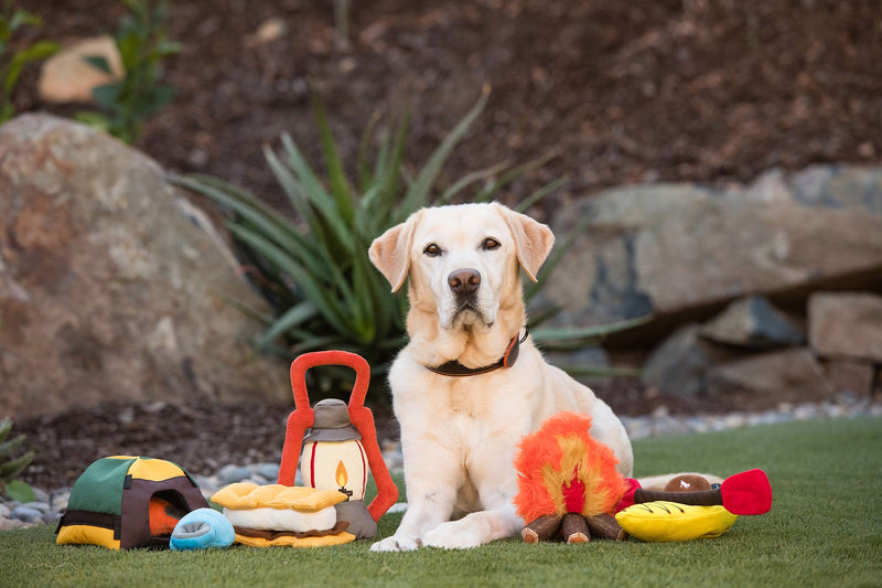 Camp Corbin Squeaky Plush Dog toys, Trailblazing Tent