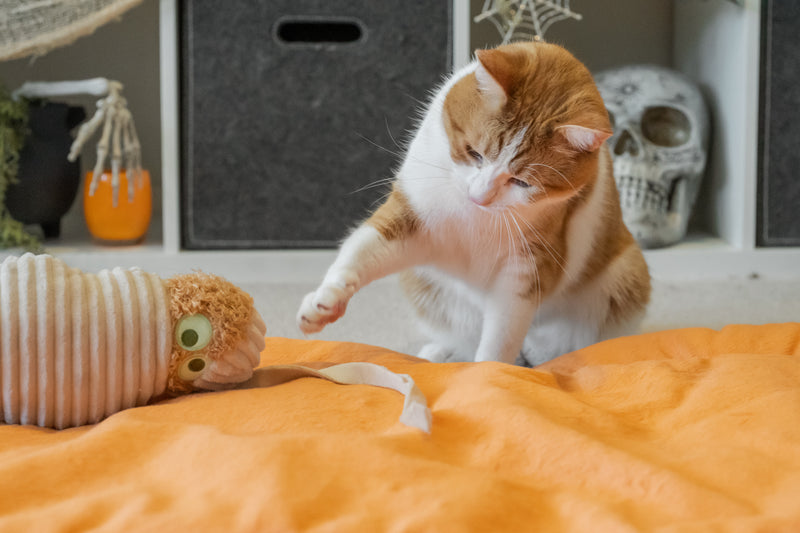 P.L.A.Y. Feline Frenzy, Catnip Kicker Toy set: Mummy