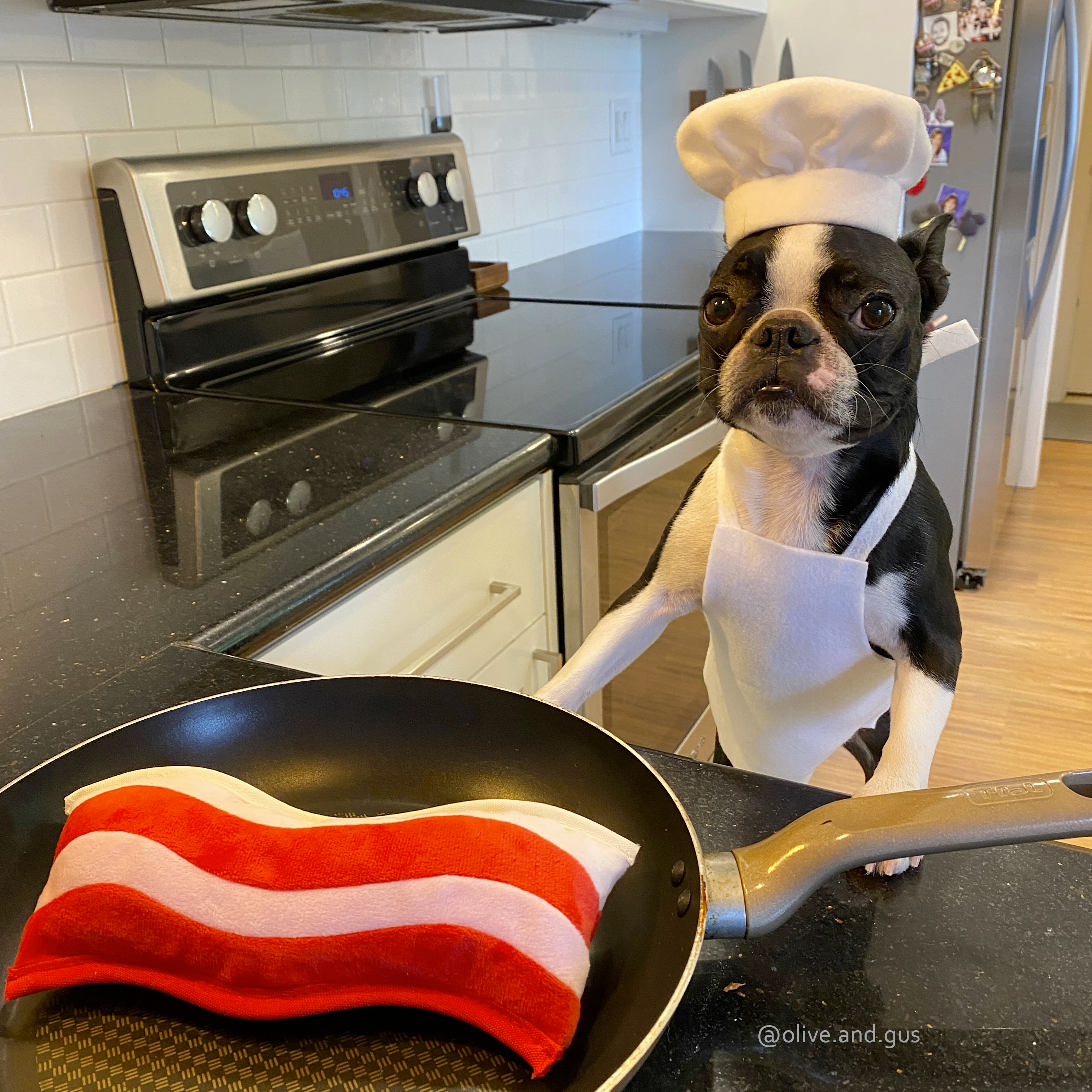 Clive & Bacon x P.L.A.Y. Squeaky Plush Dog toys, Crispy Bacon