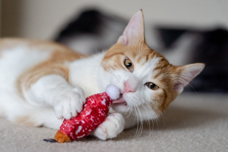 P.L.A.Y. Feline Frenzy, Catnip Toy set: Meowy Christmas