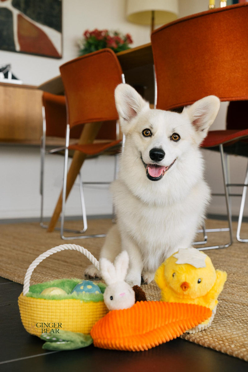 P.L.A.Y. Hippity Hoppity Squeaky Plush Dog toys, Eggs-cellent Basket