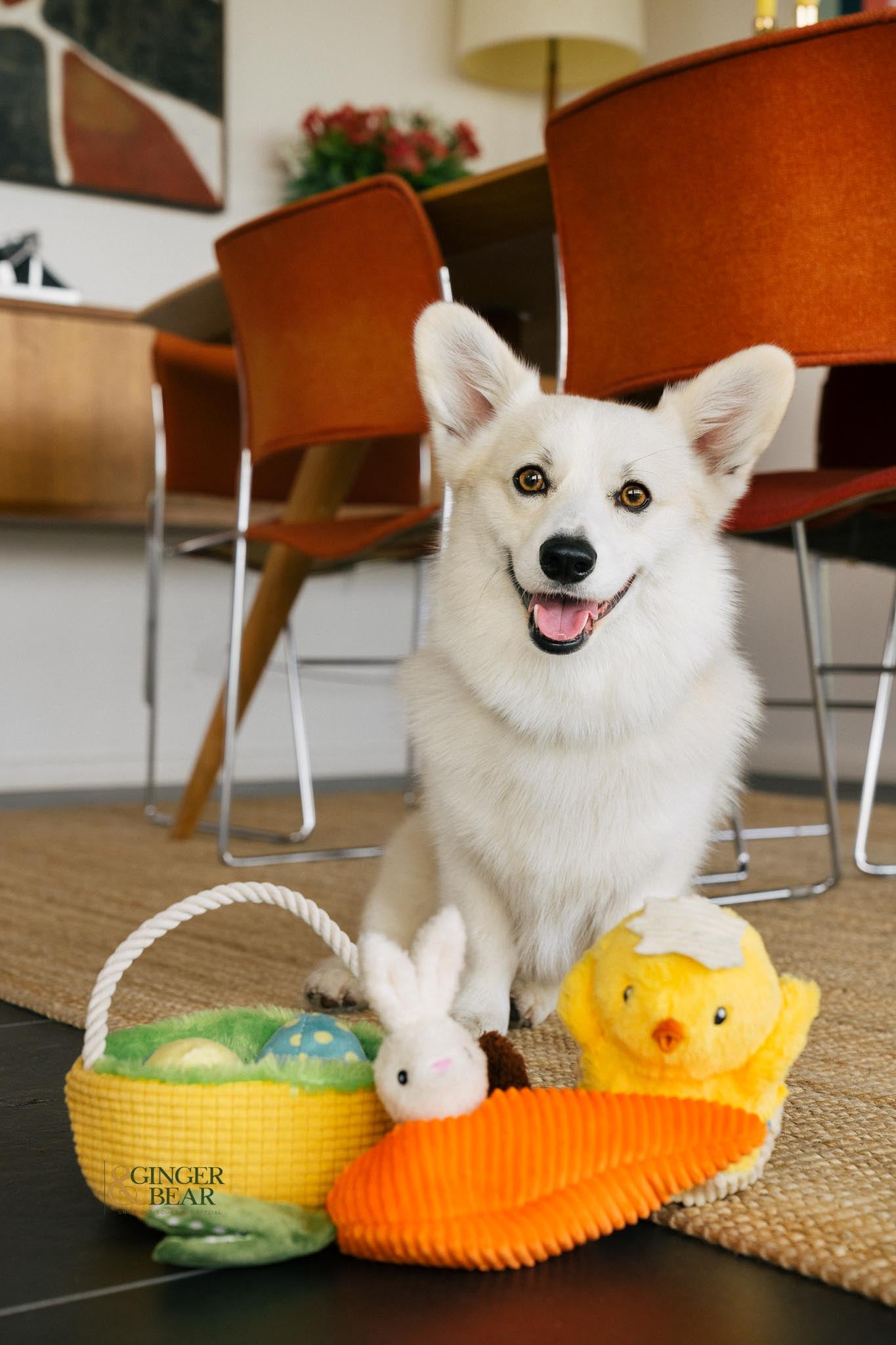 P.L.A.Y. Hippity Hoppity Squeaky Plush Dog toys, Funny Bunnies