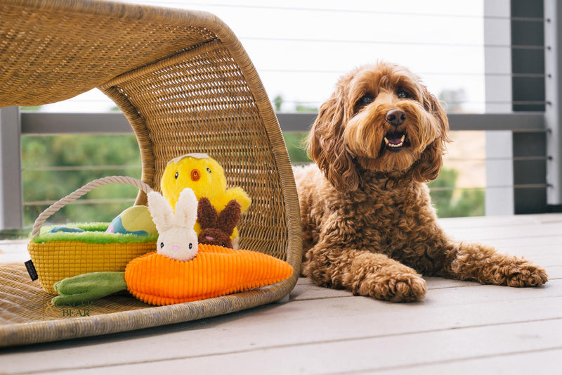 P.L.A.Y. Easter Hippity Hoppity Dog Toy - Eggs-cellent Basket - One Size