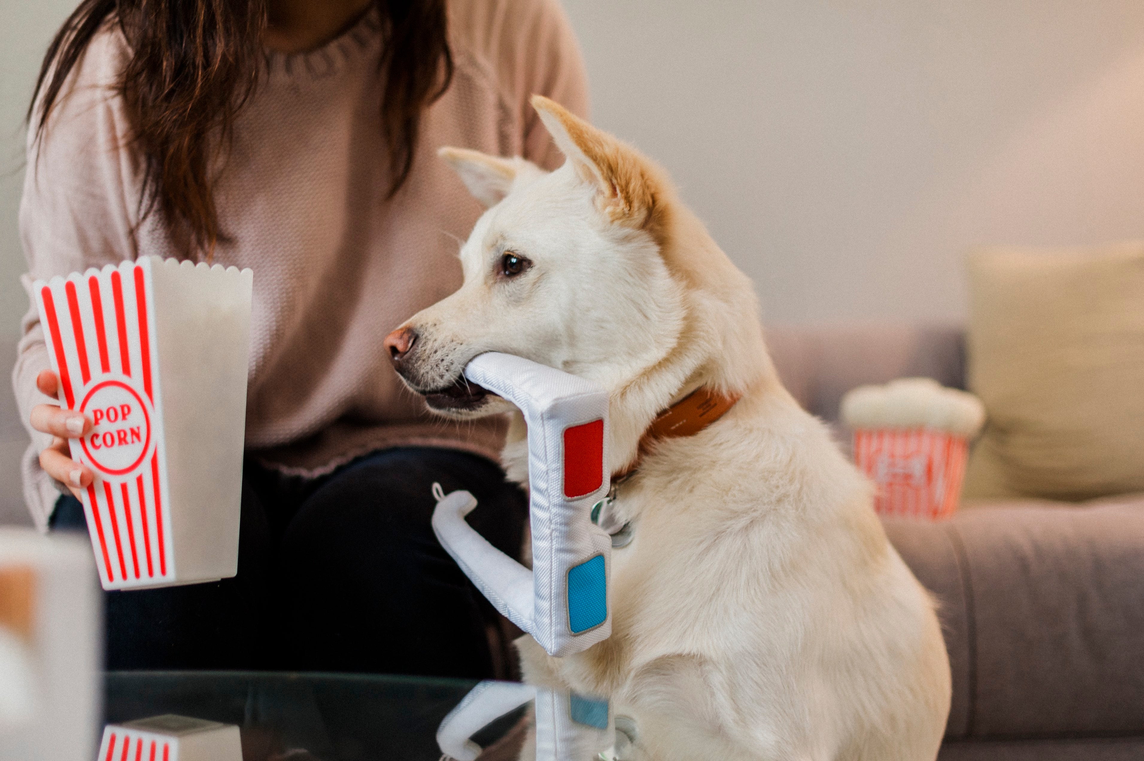 Hollywoof Cinema Squeaky Plush Dog toys, 3-Dog Glasses